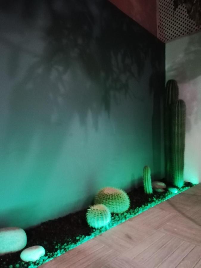 Casa Guadalupe Y Roque Villa Santa Cruz de Tenerife Exteriör bild